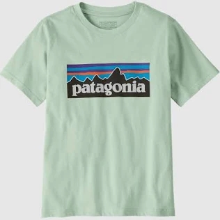 Patagonia Kids P-6 Logo T-Shirt - Thin Ice